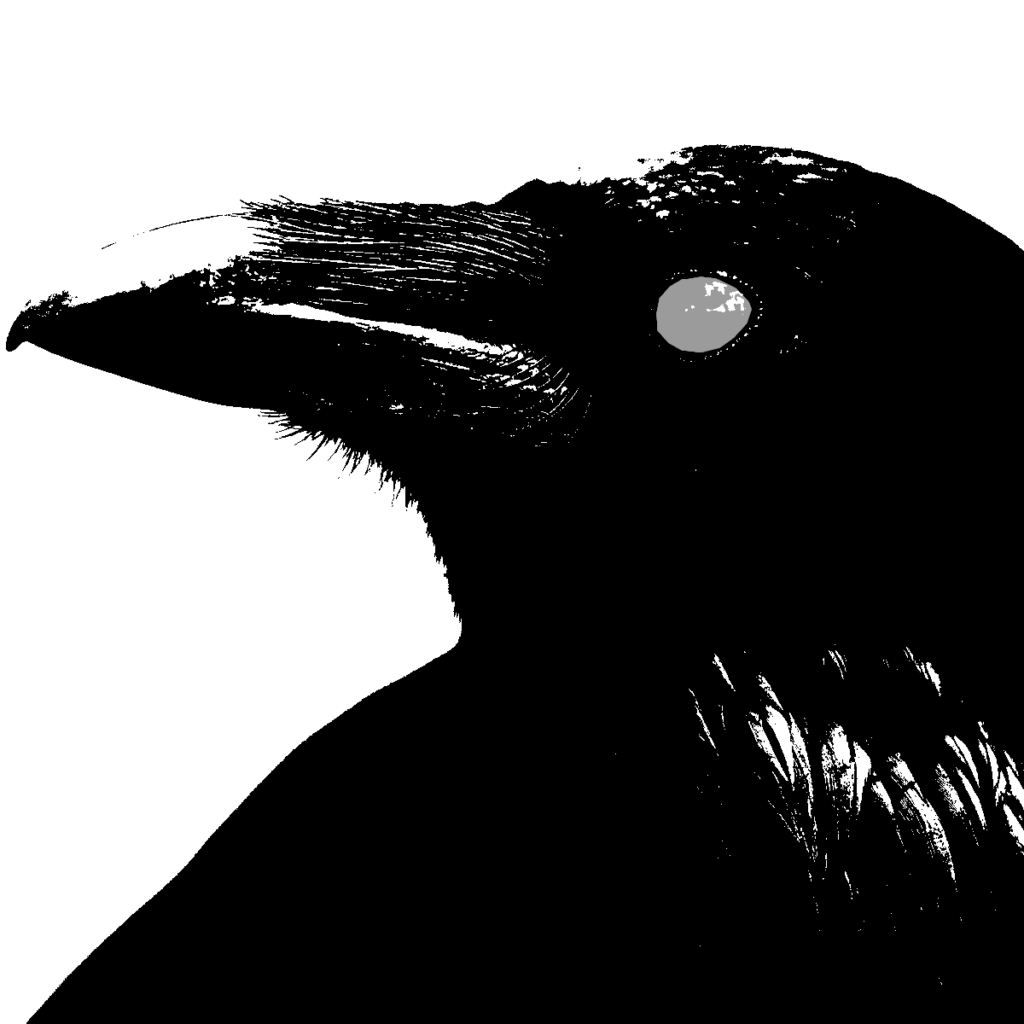 A blind raven